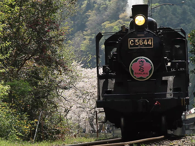 大井川鉄道 SLの旅