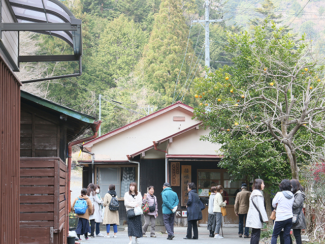 奥大井自然公園・接阻峡温泉駅周辺